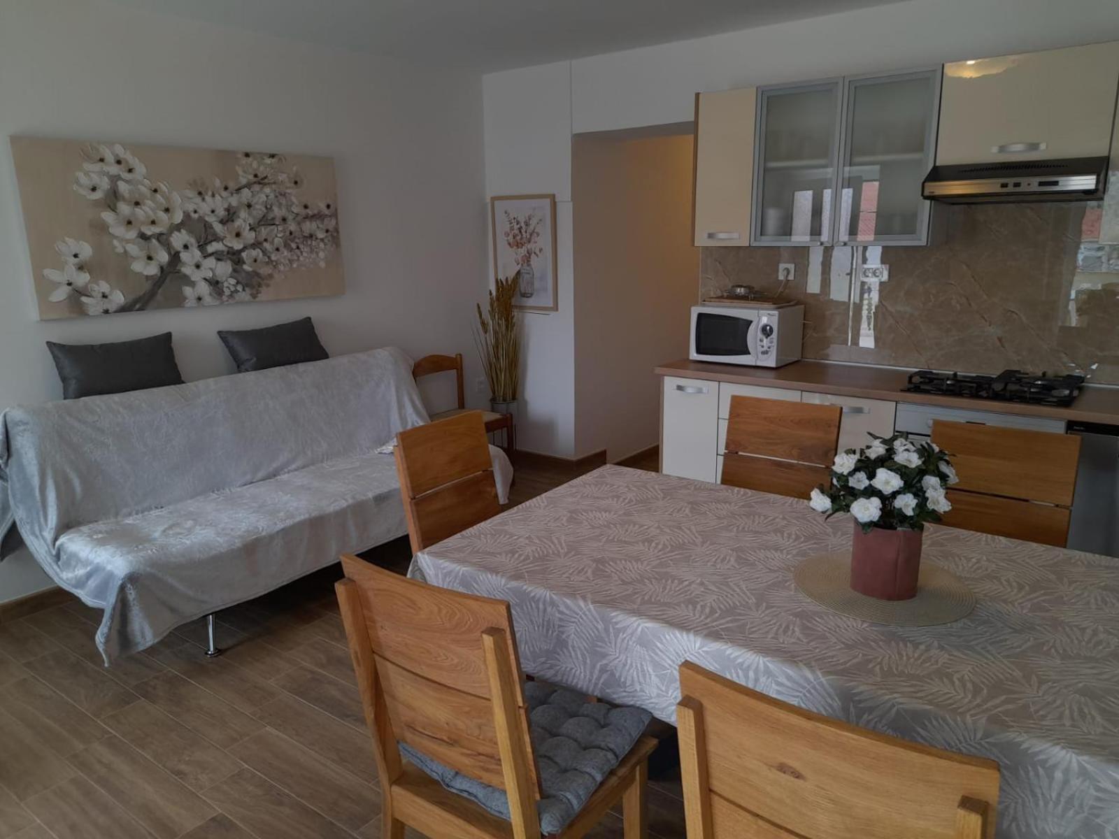 Apartments Boric ロパール 部屋 写真