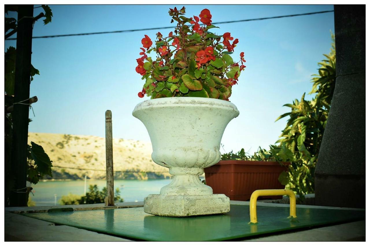 Apartments Boric ロパール エクステリア 写真